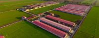 Shandong Heze Wisdom Farm